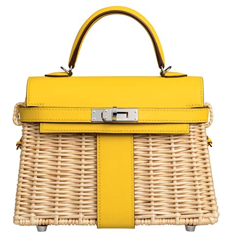 Hermes kelly picnic bags